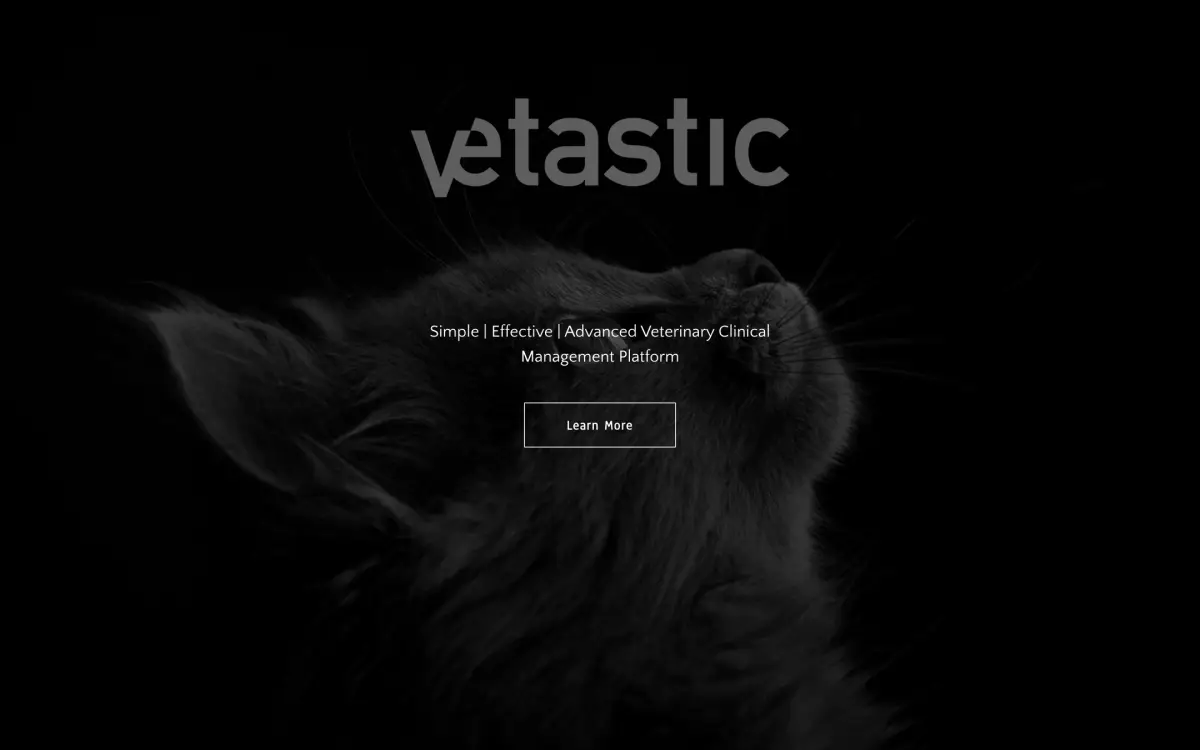 Screenshot of the Vetastic website